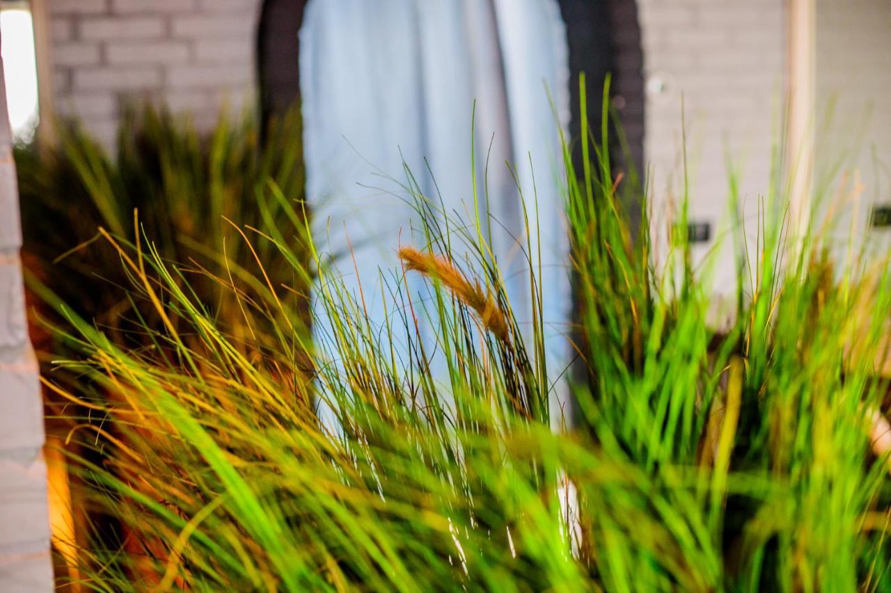 Gastenverblijf Zomerdijk Meppel Esterno foto